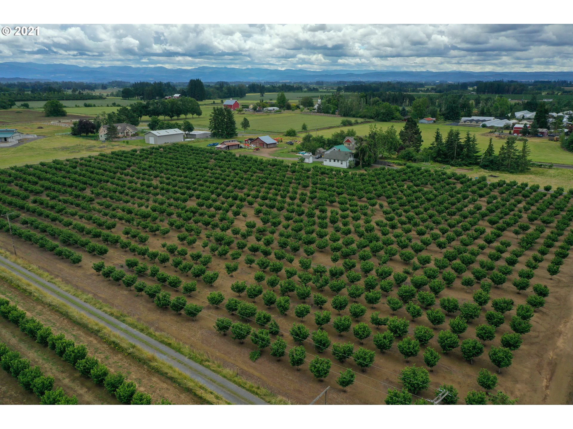 26996 South Harms Road Canby, OR 97013 - Photo 3 of 31 a view of a green field