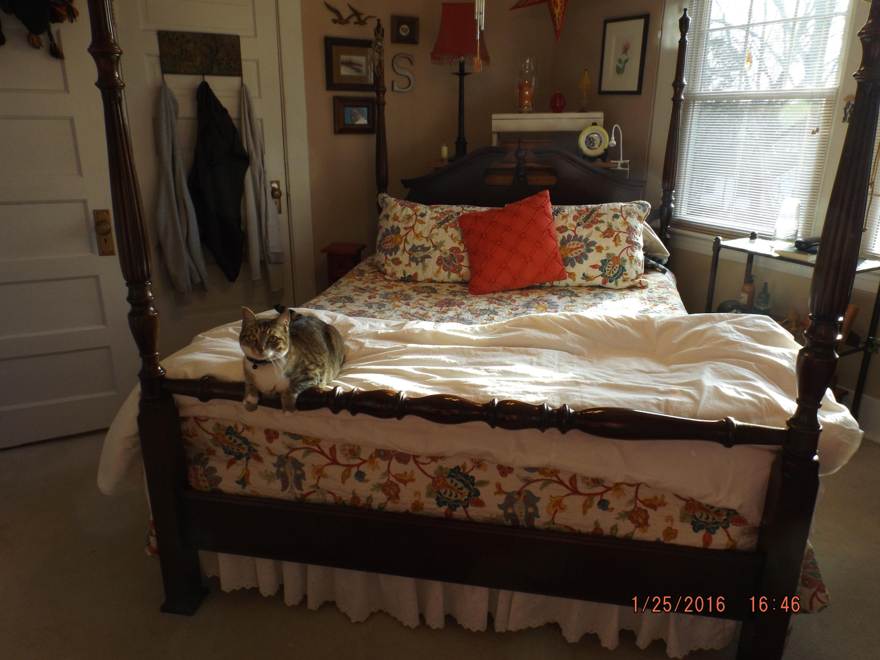 1324 Remsen Street Alcoa, TN 37701 - Photo 29 of 34 035