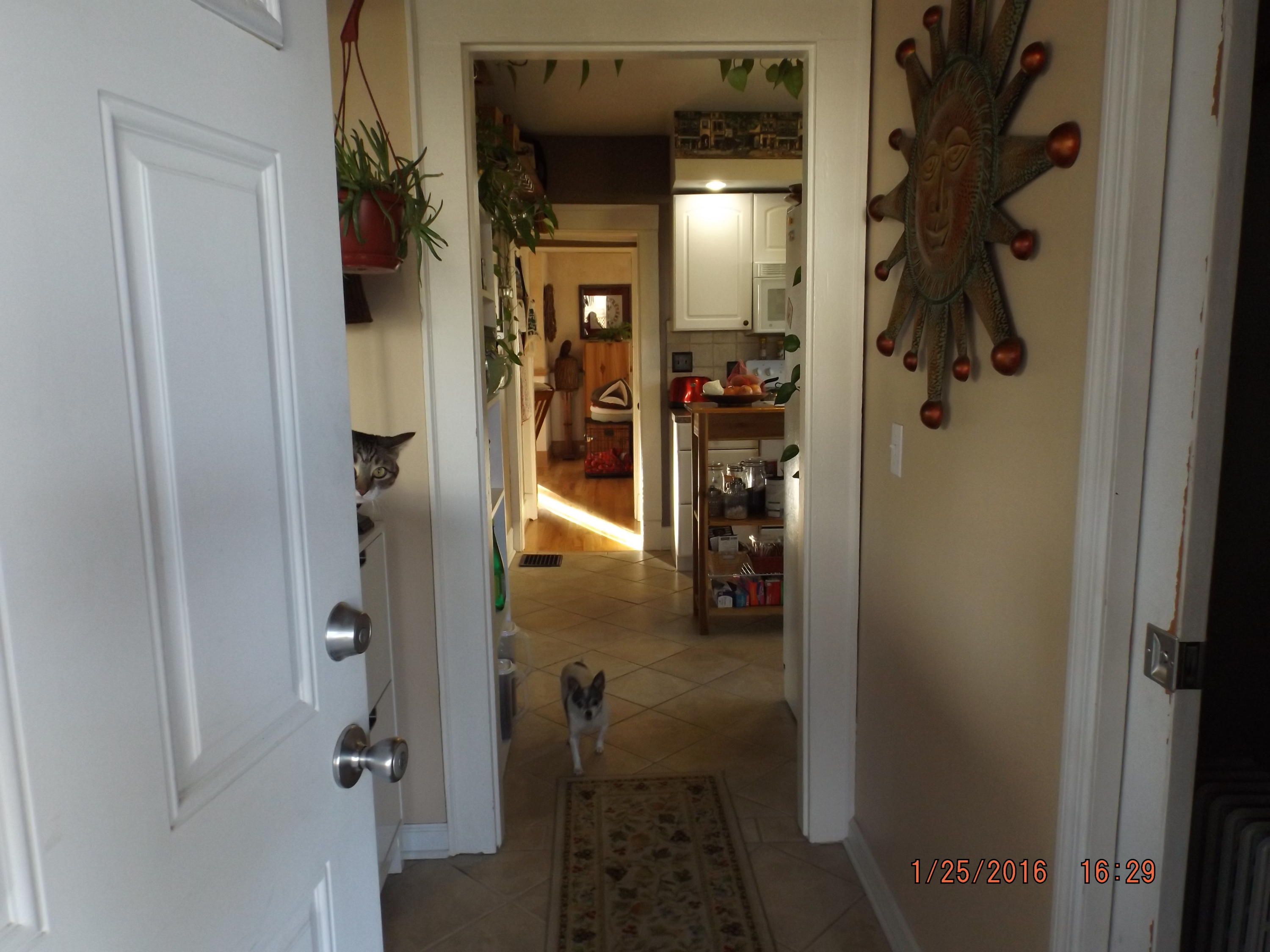 1324 Remsen Street Alcoa, TN 37701 - Photo 9 of 34 012