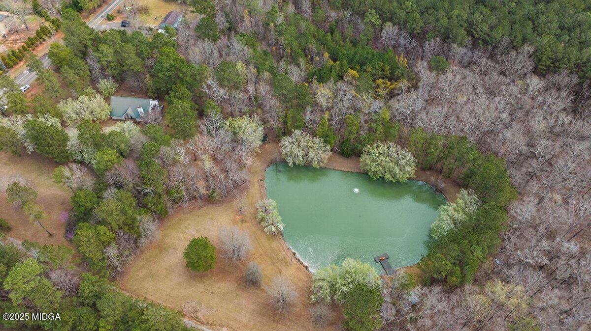 479 Pea Ridge Road Juliette, GA 31046 - Photo 30 of 32 09-DJI_0048