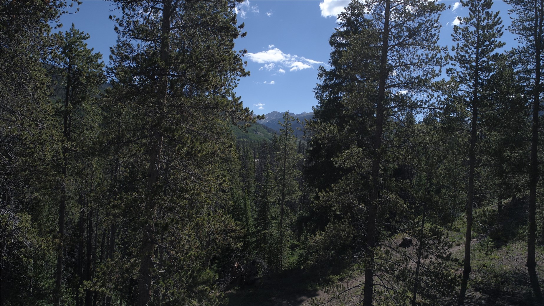 125 Lake Ridge Circle, Unit 1866 Keystone, CO 80435 - Photo 11 of 42