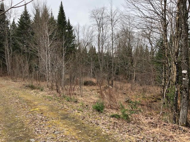 145 Philbrook Road Pittsburg, NH 03592 - Photo 1 of 9 Gallery Image 1