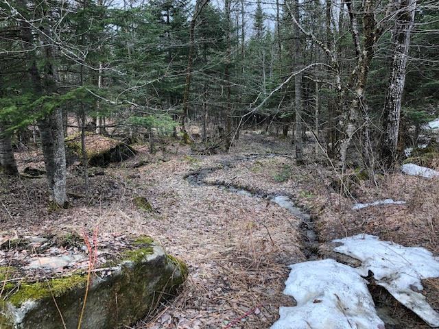 145 Philbrook Road Pittsburg, NH 03592 - Photo 3 of 9 Gallery Image 3