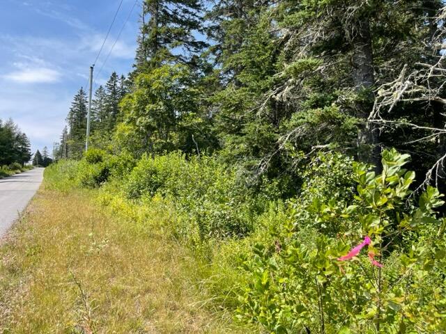 Lot 9 Wilcox Road Lubec, ME 04652 - Photo 19 of 29 IMG_5548