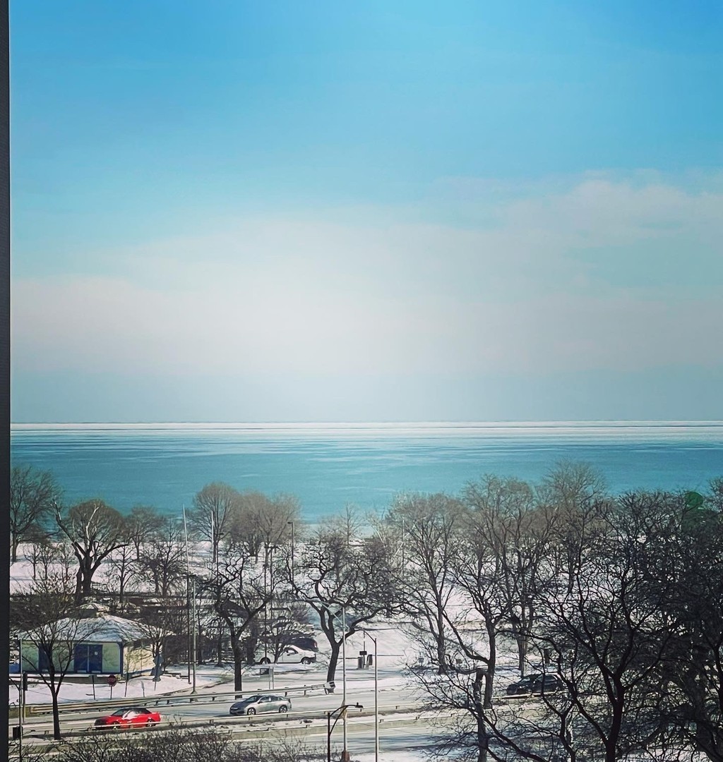 3150 North Sheridan Road, Unit 7C Chicago, IL 60657 - Photo 5 of 12