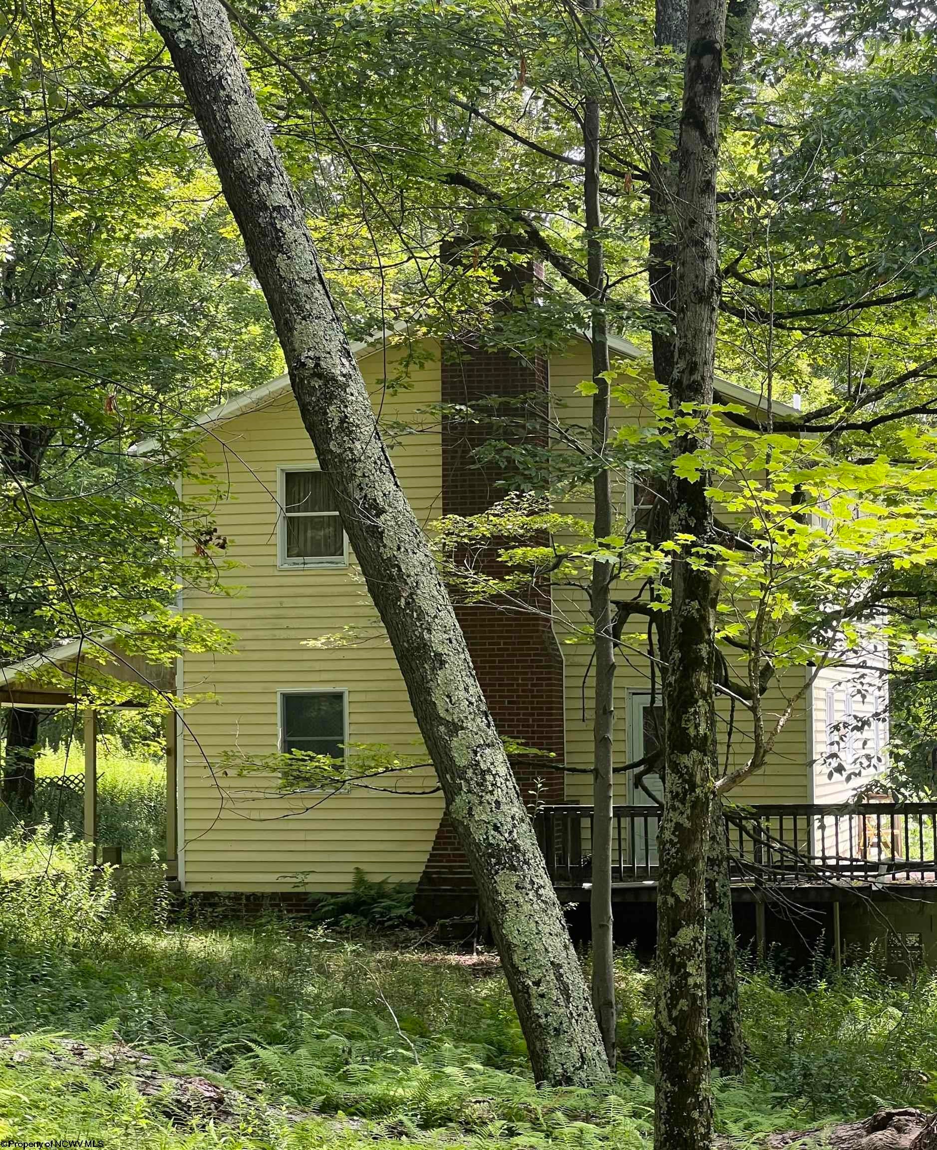 738 Jonathan Run Parsons, WV 26287 - Photo 6 of 21 Gallery Image 6