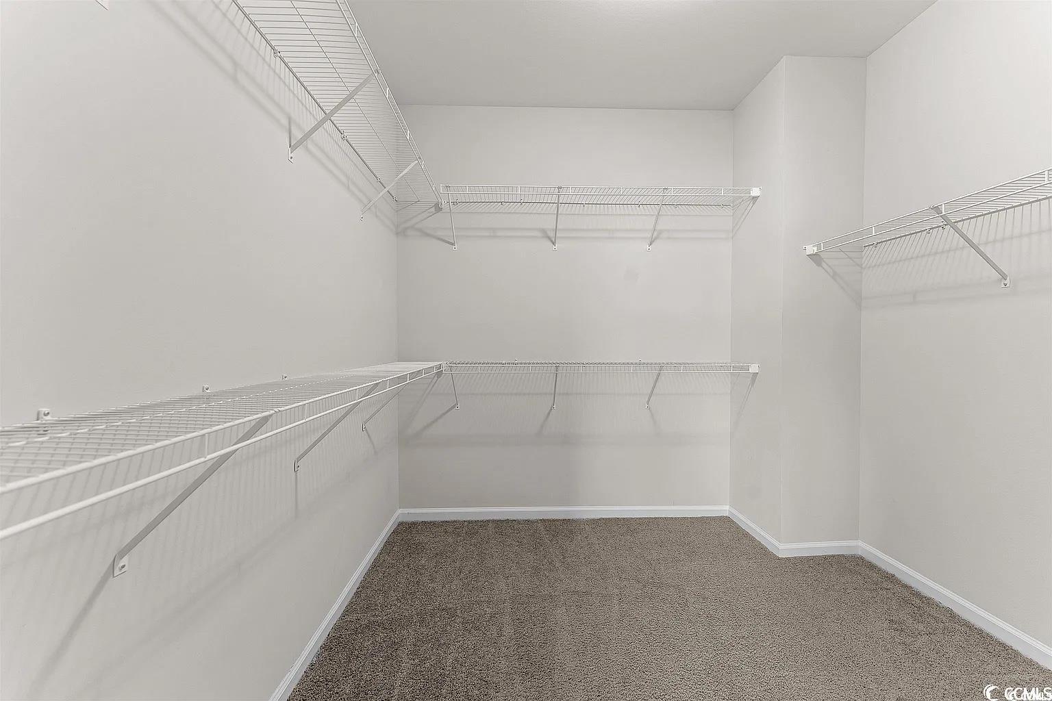 260 Red Maple Loop Longs, SC 29568 - Photo 15 of 34 Walk in closet featuring carpet