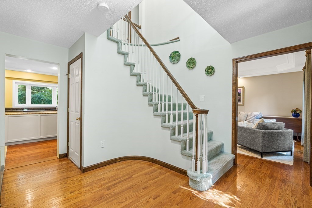 3 Moccasin Path Natick, MA 01760 - Photo 3 of 35