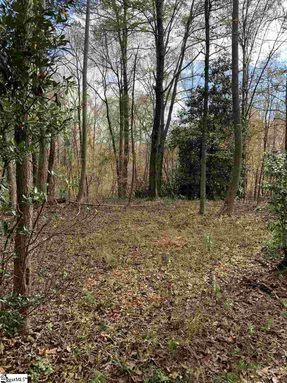 2820 Brushy Creek Road Greer, SC 29650 - Photo 1 of 5 Gallery Image 1