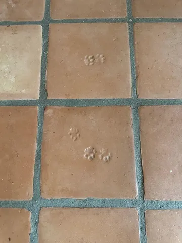 $389,000 | 137 Pleasant Valley Road, Brattleboro, VT 05301