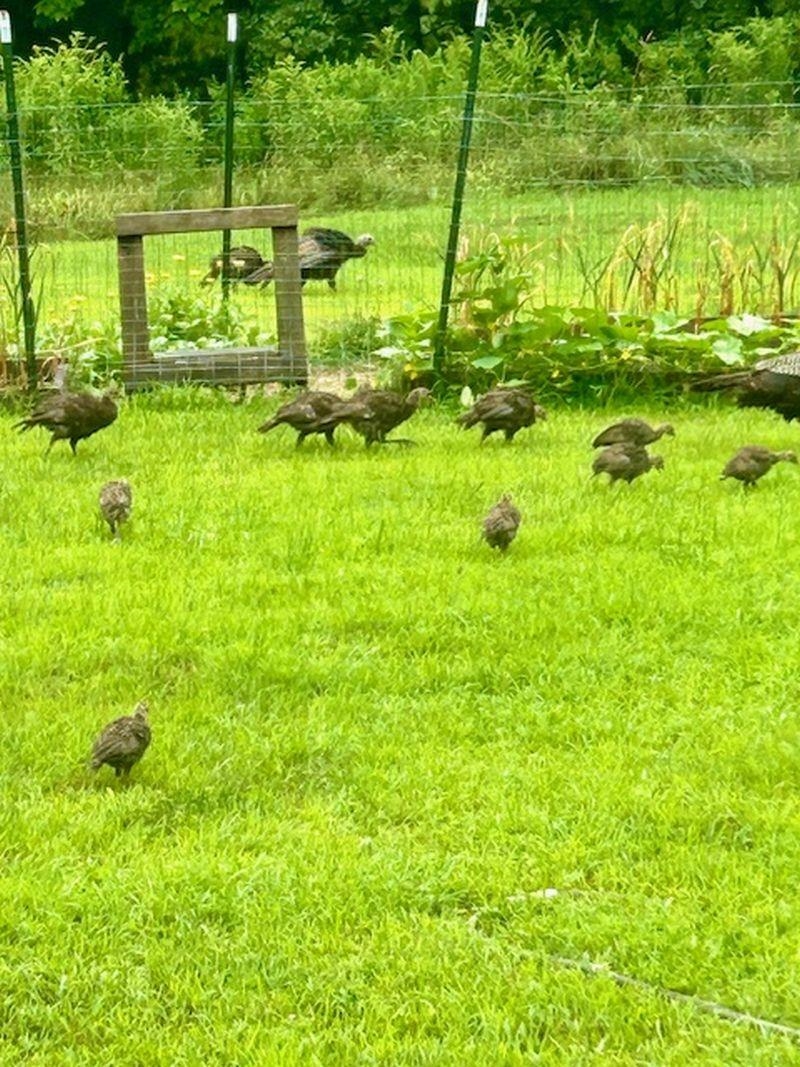 137 Pleasant Valley Road Brattleboro, VT 05301 - Photo 21 of 33