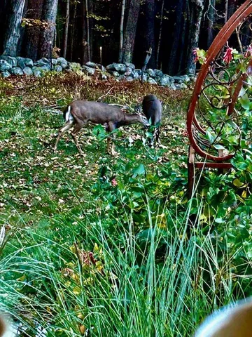 $389,000 | 137 Pleasant Valley Road, Brattleboro, VT 05301