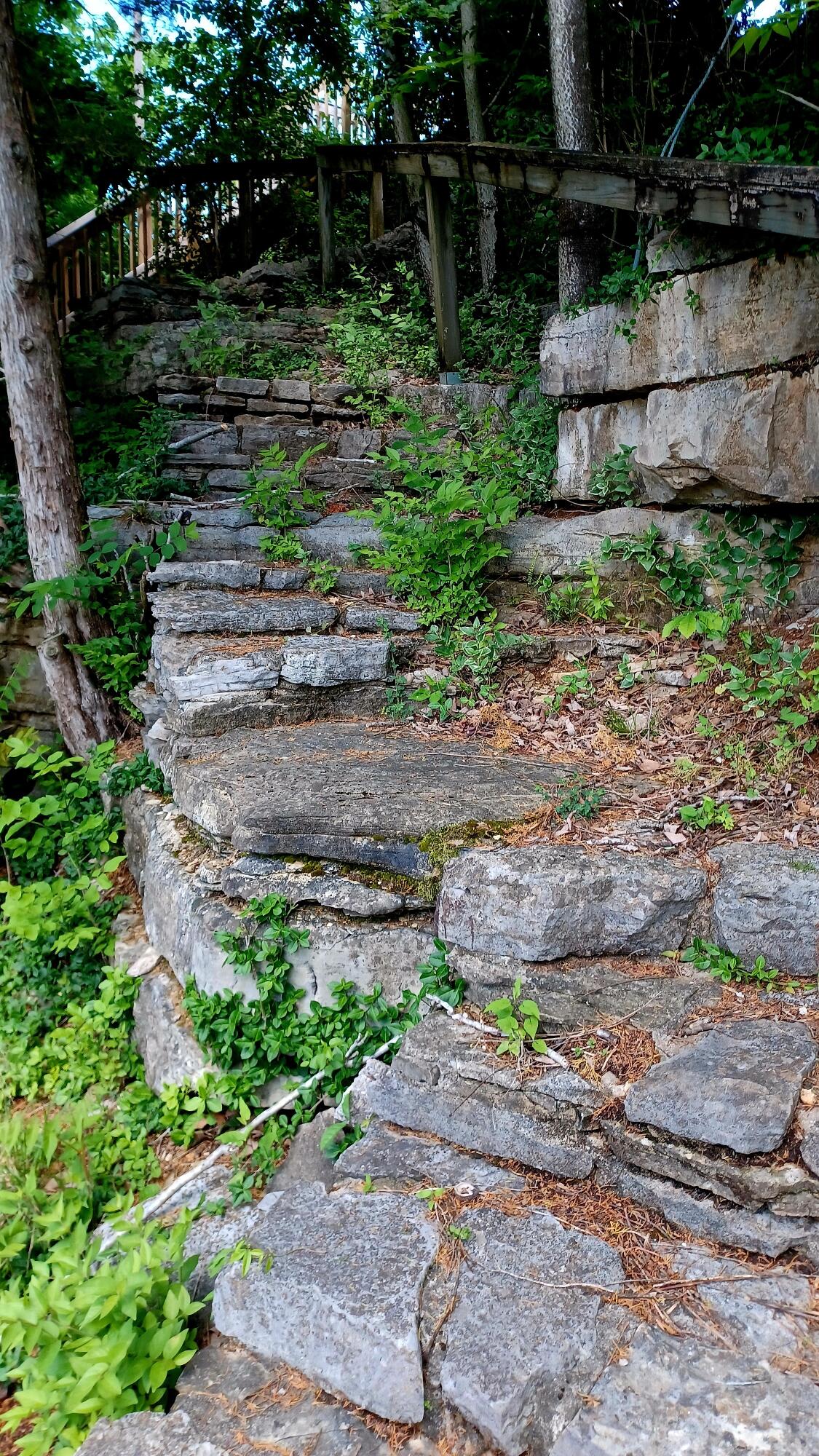 4858 Kennedy Bridge Road Lancaster, KY 40444 - Photo 41 of 53 Stone steps before wooden