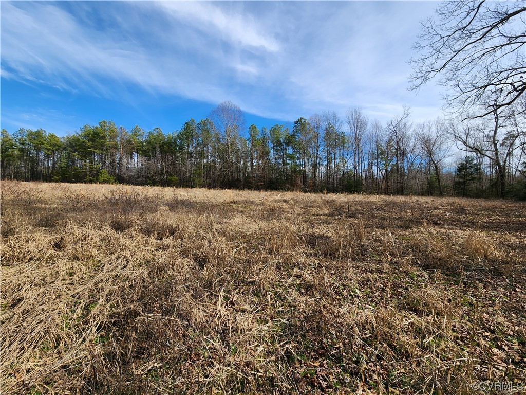 Lot 1 Pilkington Road Hustle, VA 22476 - Photo 2 of 6 Gallery Image 2