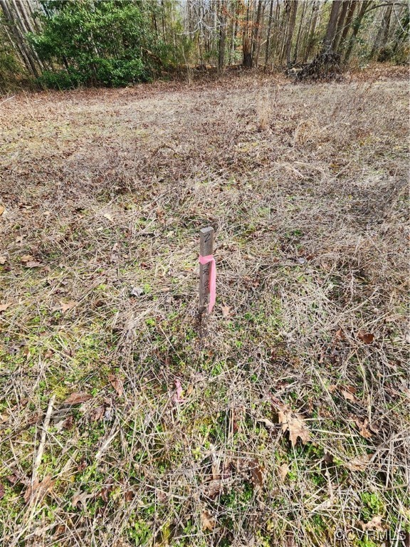 Lot 1 Pilkington Road Hustle, VA 22476 - Photo 3 of 6 Gallery Image 3