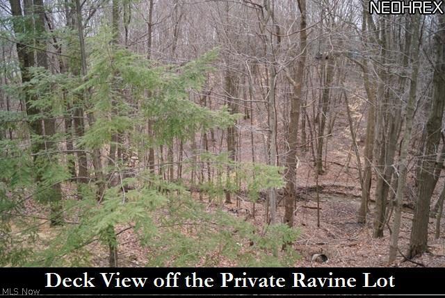 17033 Ridge Creek Road Strongsville, OH 44136 - Photo 19 of 25 Gallery Image 19