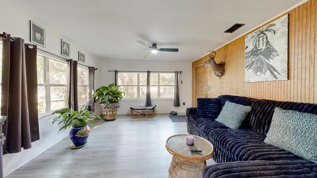 a living room with furniture and potted plant