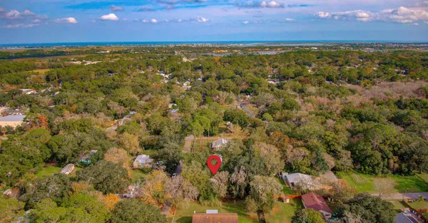 a living room with furniture and potted plant