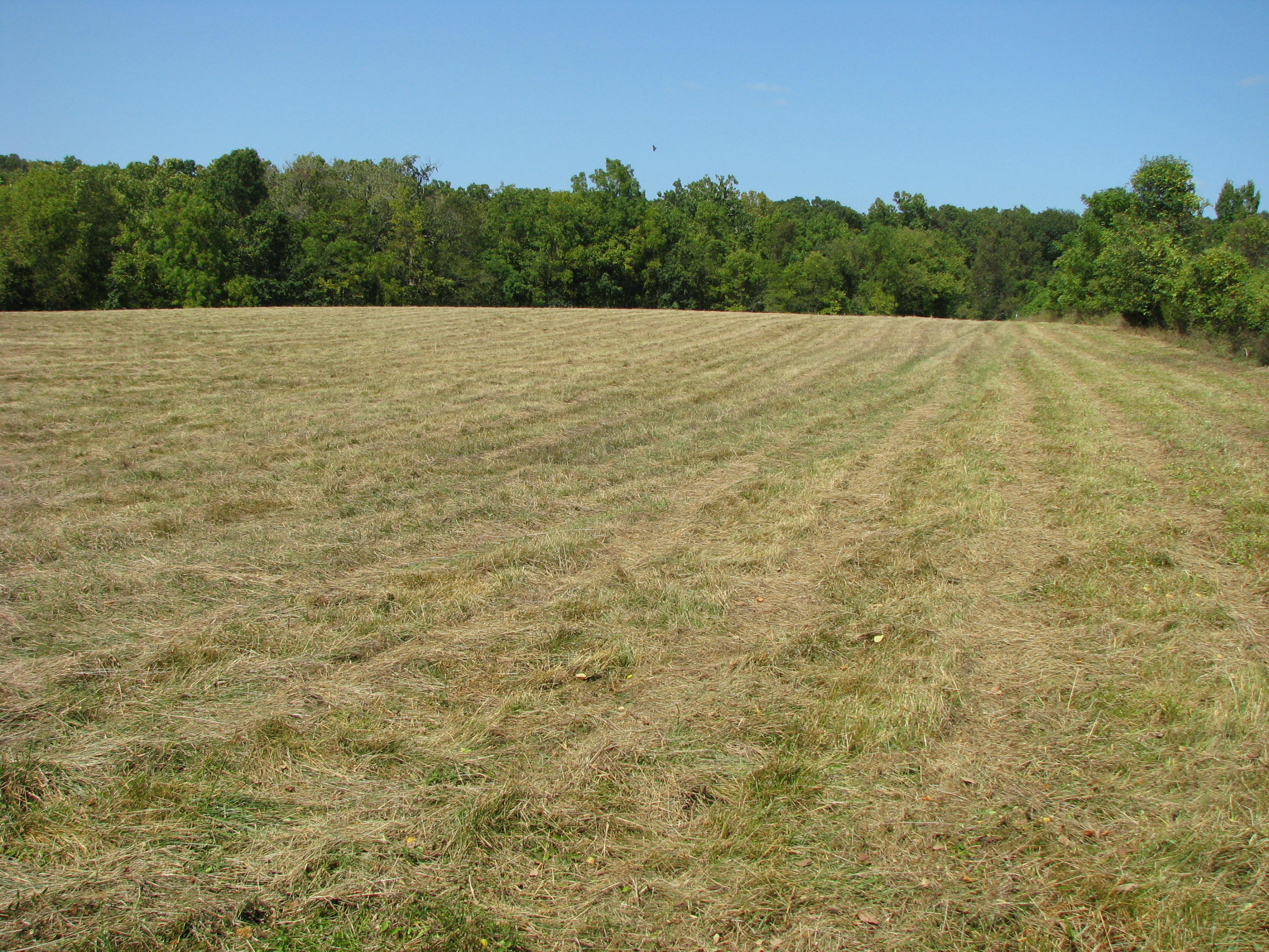 0 South Valley View Lane Springfield, MO 65809 - Photo 1 of 1 IMG_2139