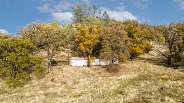 a view of a yard with a tree
