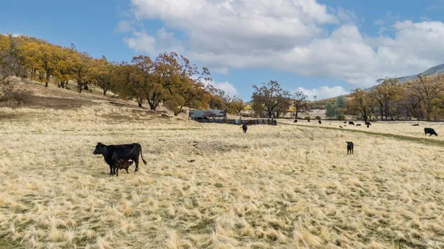 $799,000 | 11158 Rocky Creek Road, Lower Lake, CA 95457