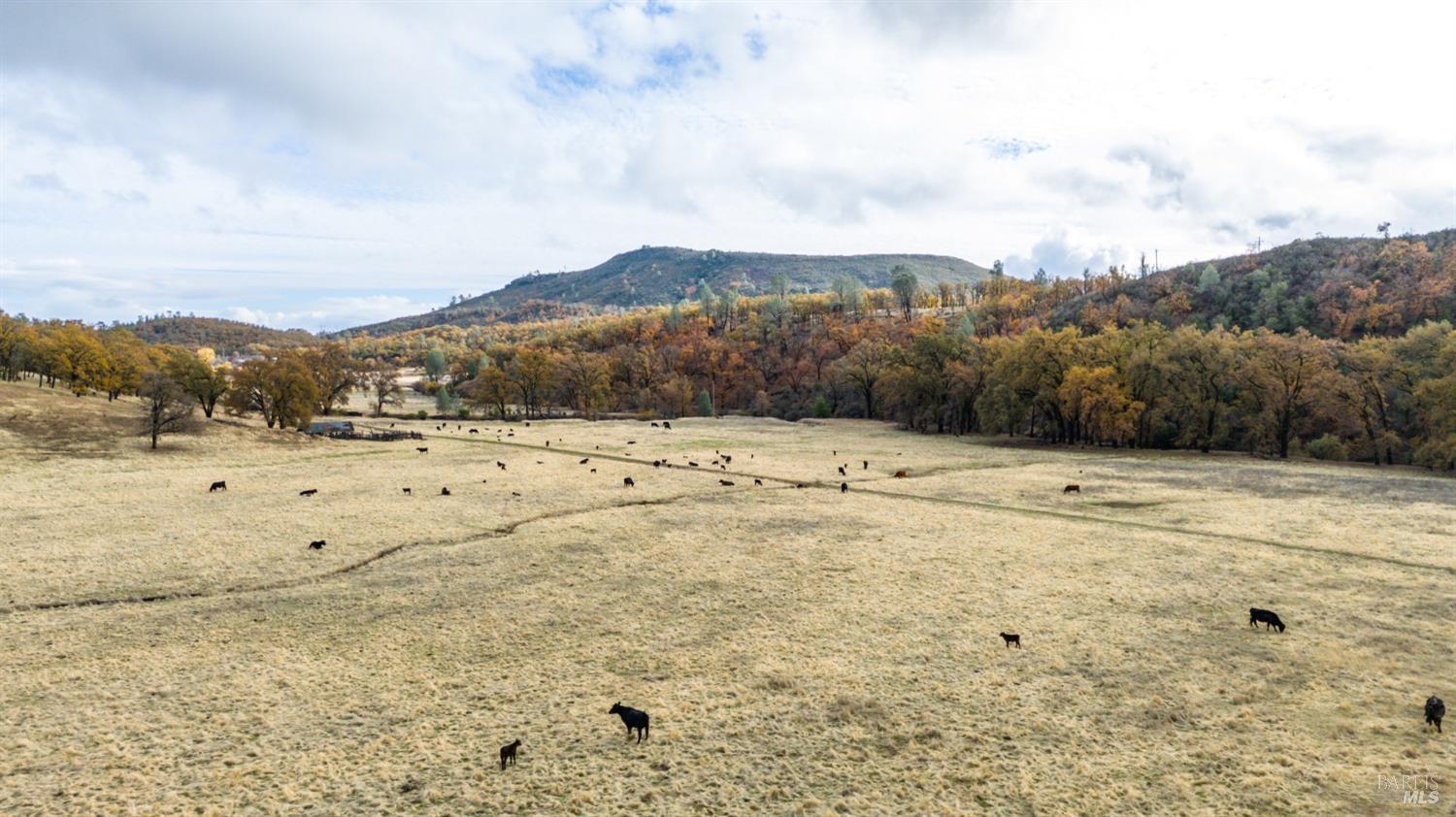11158 Rocky Creek Road Lower Lake, CA 95457 - Photo 7 of 25 a view of outdoor space with mountain view
