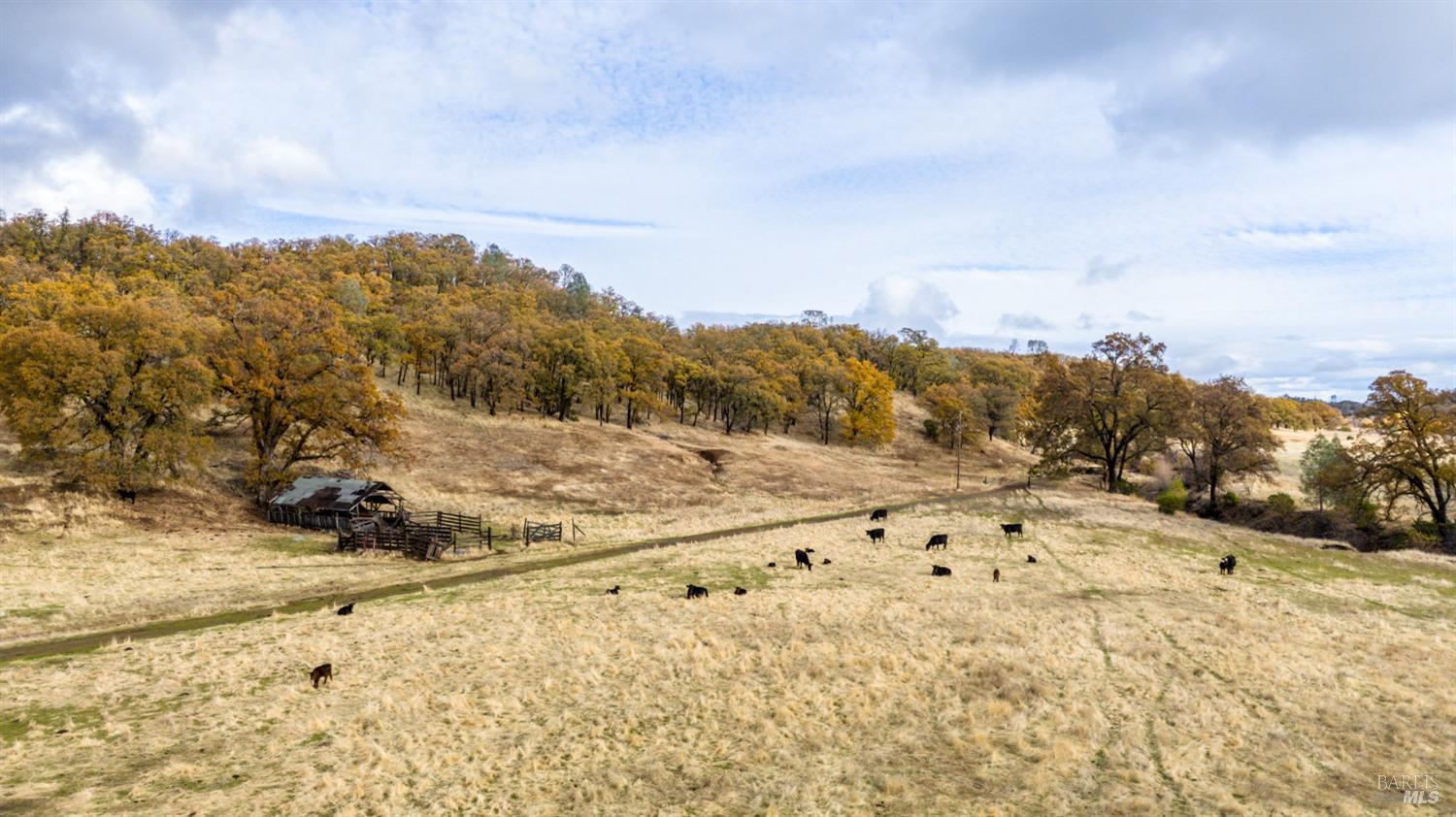 11158 Rocky Creek Road Lower Lake, CA 95457 - Photo 8 of 25 a view of a yard with a snow