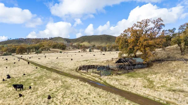 a view of a backyard of a house
