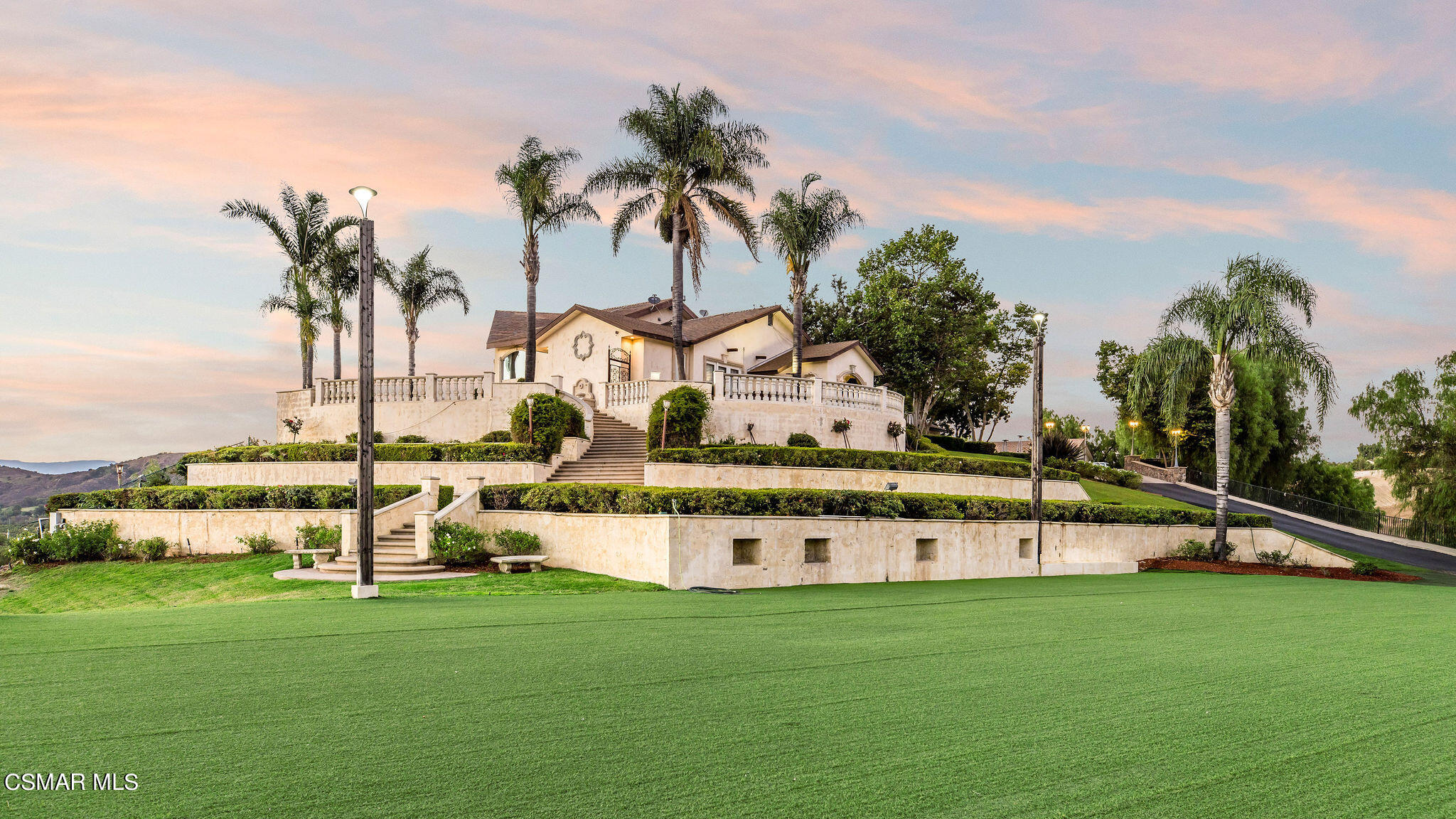 a view of a garden with palm trees
