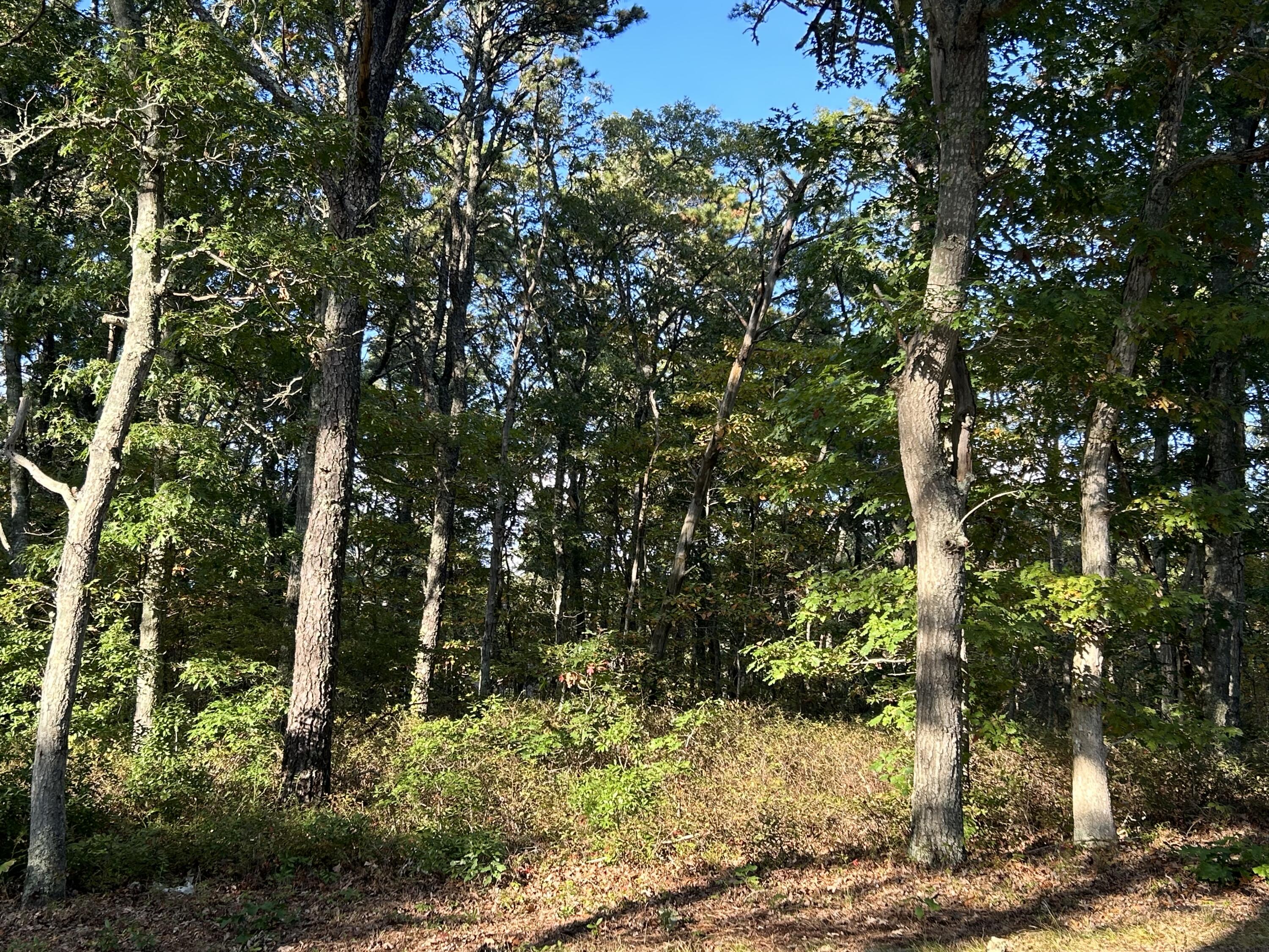 132 Great Western Road Harwich, MA 02645 - Photo 2 of 6 Lot