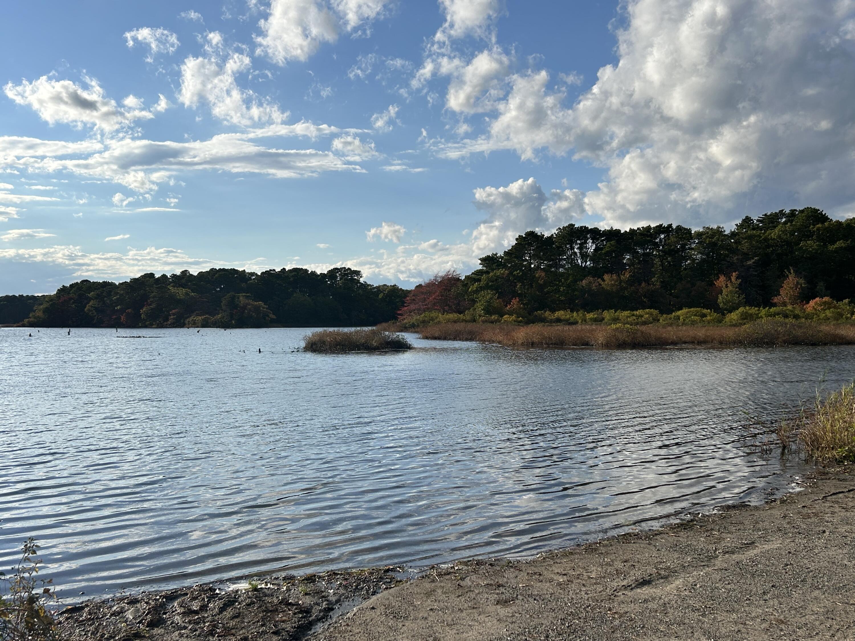 132 Great Western Road Harwich, MA 02645 - Photo 4 of 6 Bells Neck