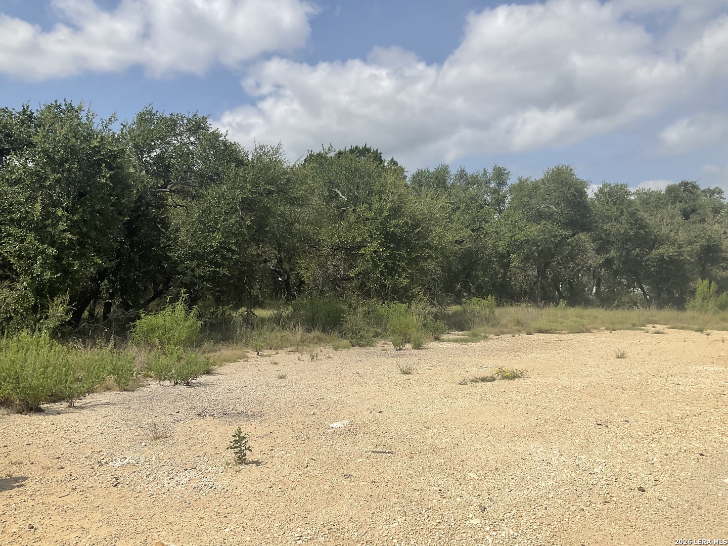 713 Johanna Ridge Road Bulverde, TX 78163 - Photo 6 of 14