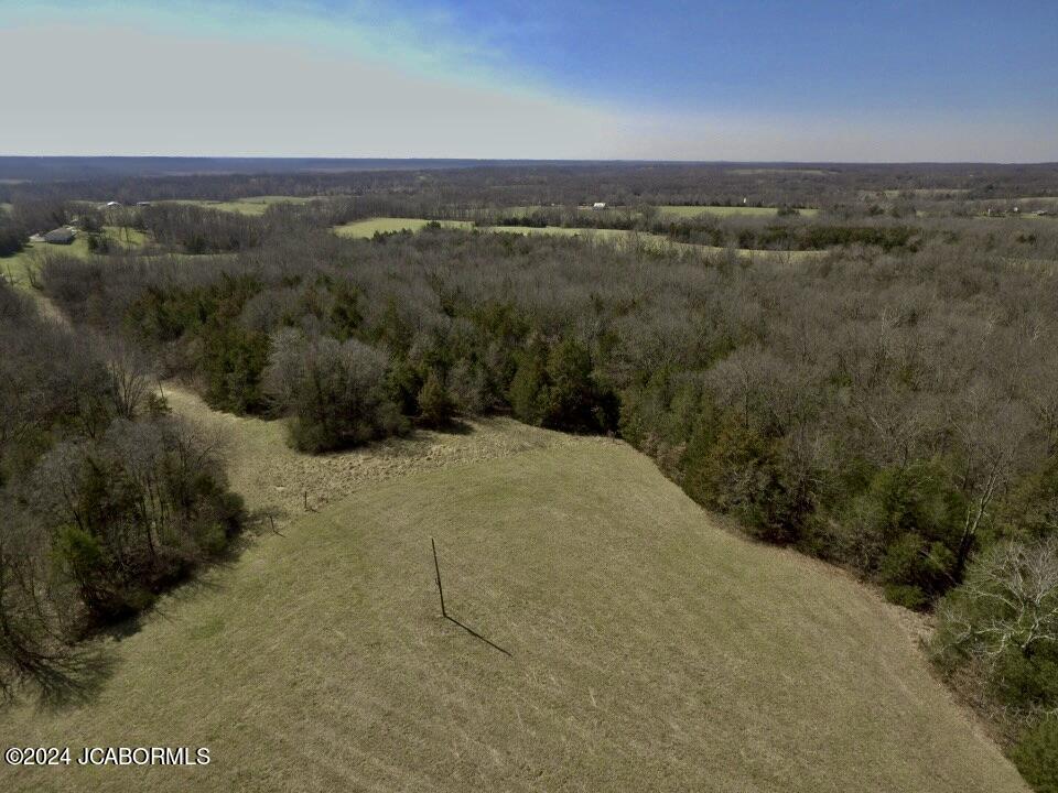 Lot 2 Co Road Holts Summit, MO 65043 - Photo 8 of 23