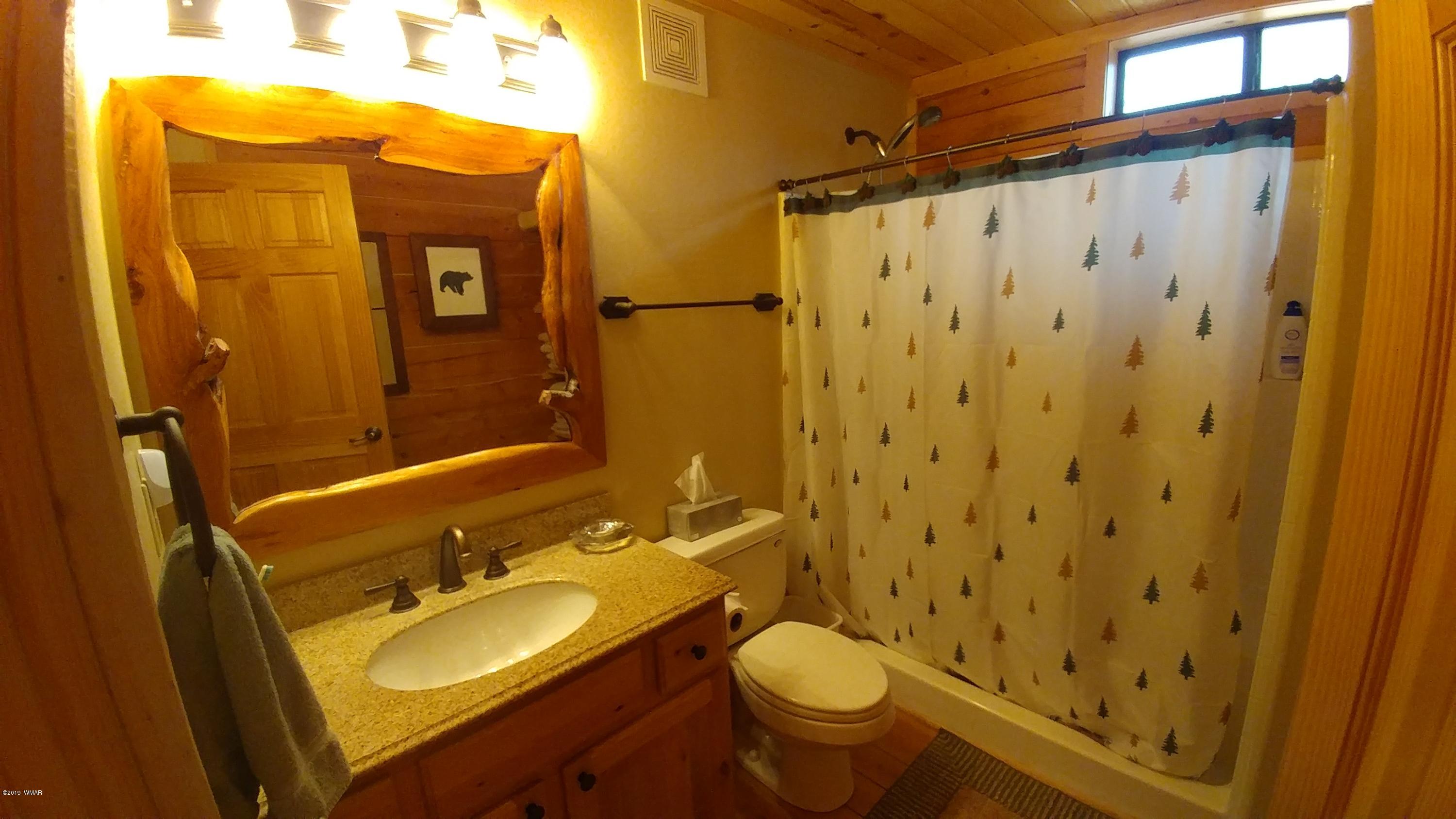 2312 Overgaard Springs Loop Overgaard, AZ 85933 - Photo 27 of 54 a bathroom with a granite countertop sink toilet and shower