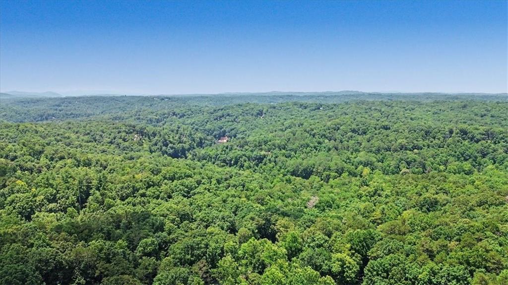 617 Zenith Trail Ellijay, GA 30540 - Photo 59 of 59