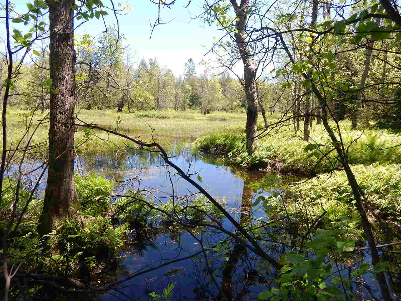 2434 Low Highrolloway Road Manistique, MI 49854 - Photo 56 of 96 1802122-56.JPG
