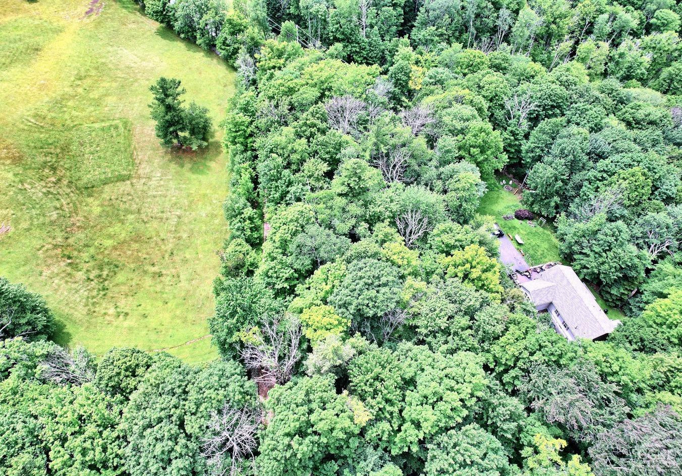 419 Clum Hill Road Hunter, NY 12427 - Photo 12 of 28 a view of a garden with a lake