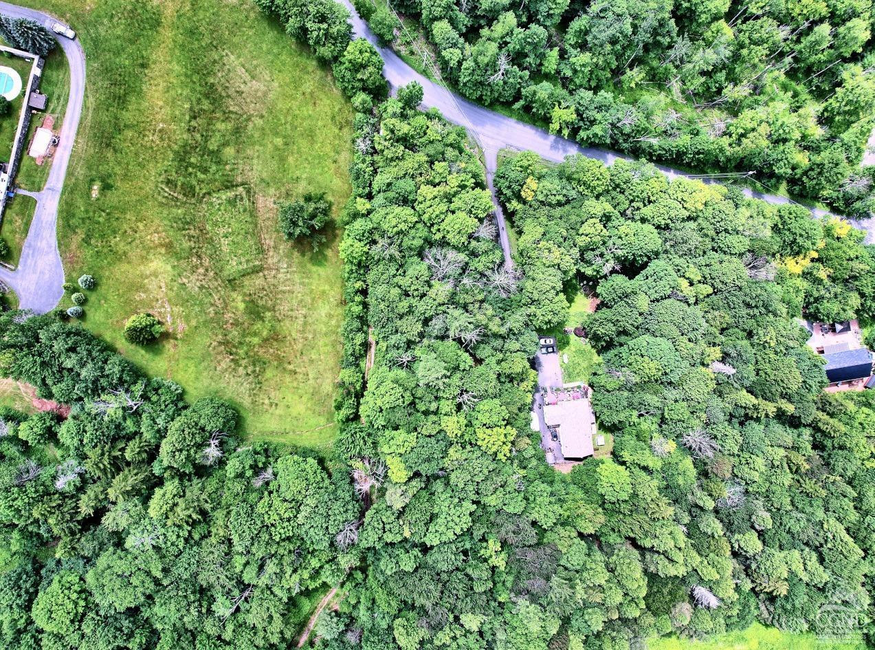 419 Clum Hill Road Hunter, NY 12427 - Photo 14 of 28 a picture of street view