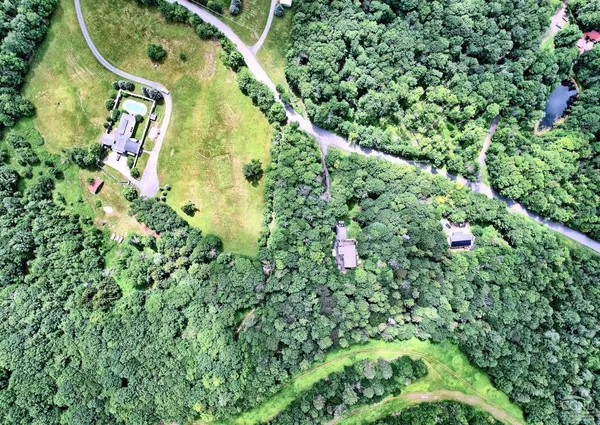 a view of a big yard with plants and large trees