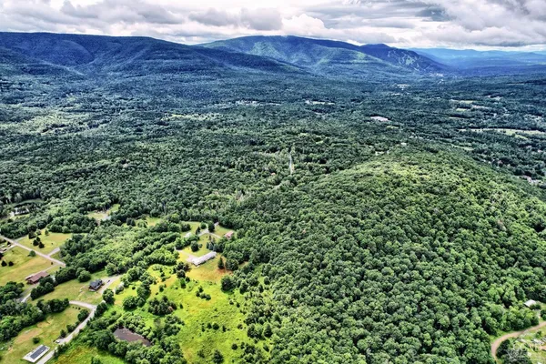 a view of a lush green forest with a house in the background