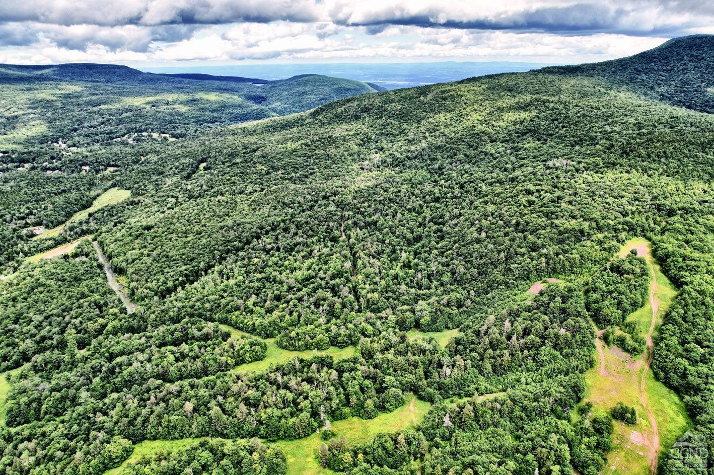 419 Clum Hill Road Hunter, NY 12427 - Photo 21 of 28 a view of a big yard with plants and large trees