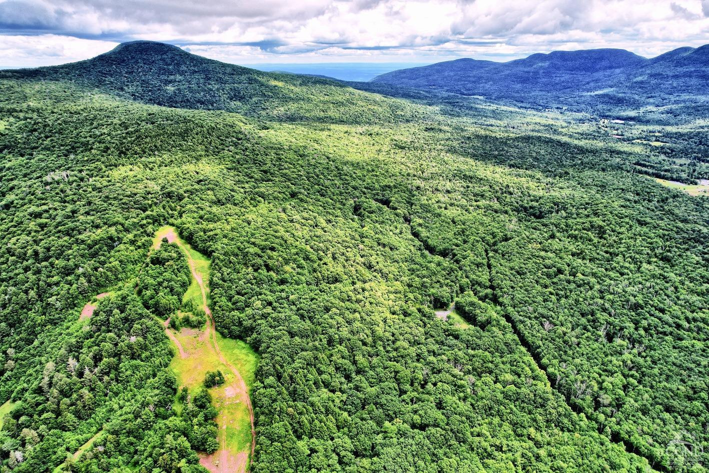 419 Clum Hill Road Hunter, NY 12427 - Photo 22 of 28 a view of a lush green forest with a house in the background
