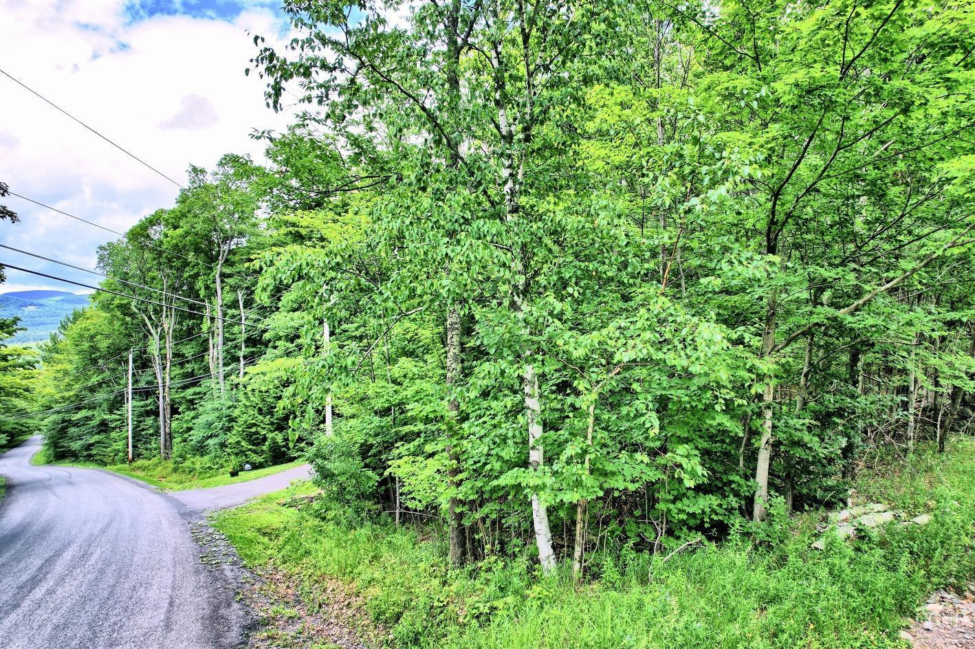 419 Clum Hill Road Hunter, NY 12427 - Photo 24 of 28 a view of a garden