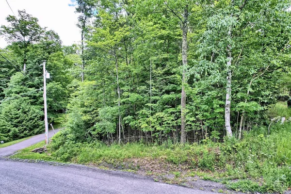 $64,900 | 419 Clum Hill Road, Hunter, NY 12427