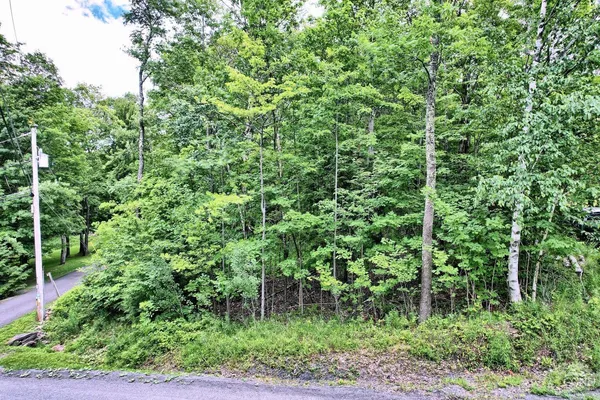 $64,900 | 419 Clum Hill Road, Hunter, NY 12427