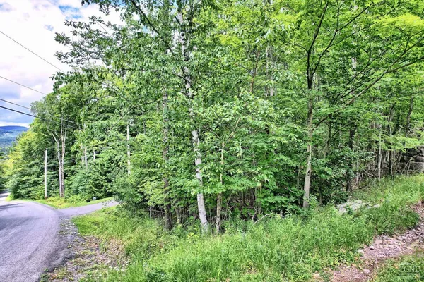 $64,900 | 419 Clum Hill Road, Hunter, NY 12427