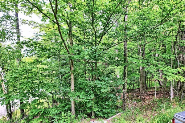 $64,900 | 419 Clum Hill Road, Hunter, NY 12427