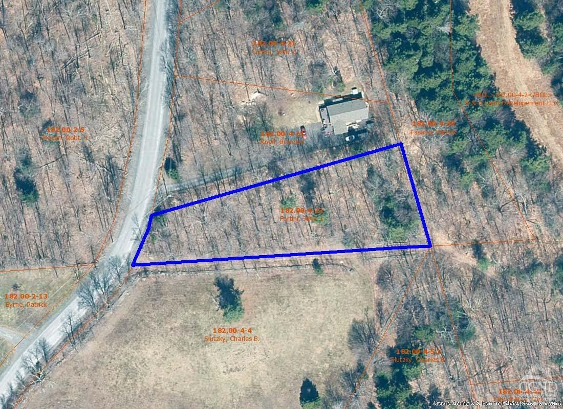 419 Clum Hill Road Hunter, NY 12427 - Photo 4 of 28 a view of small pool