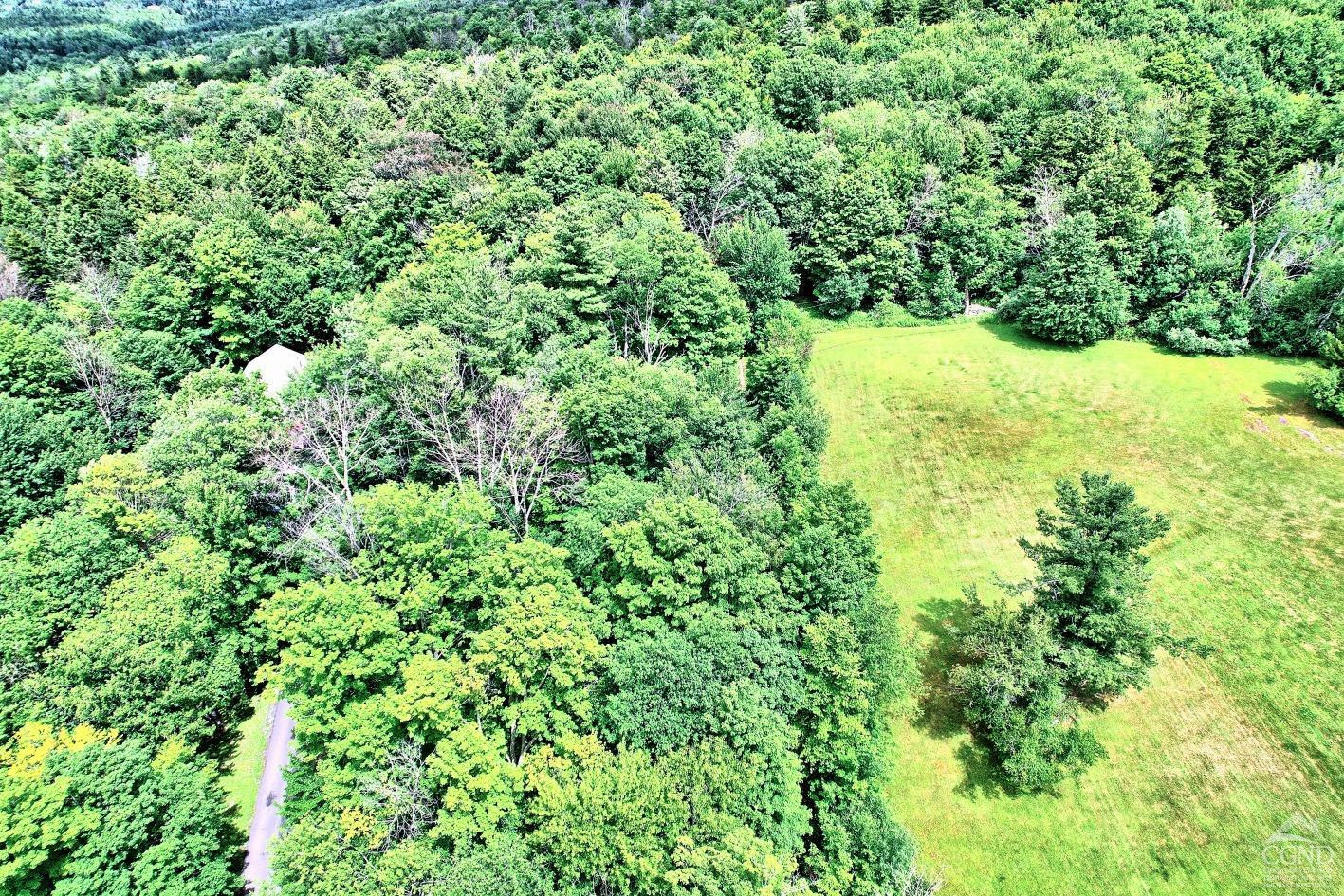419 Clum Hill Road Hunter, NY 12427 - Photo 6 of 28 a view of a green field