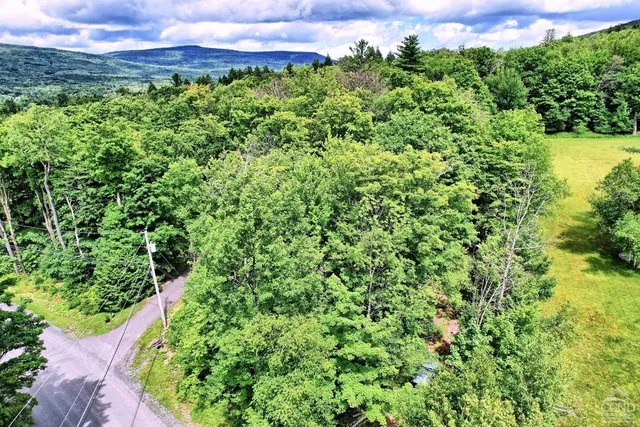a view of a lake from a yard